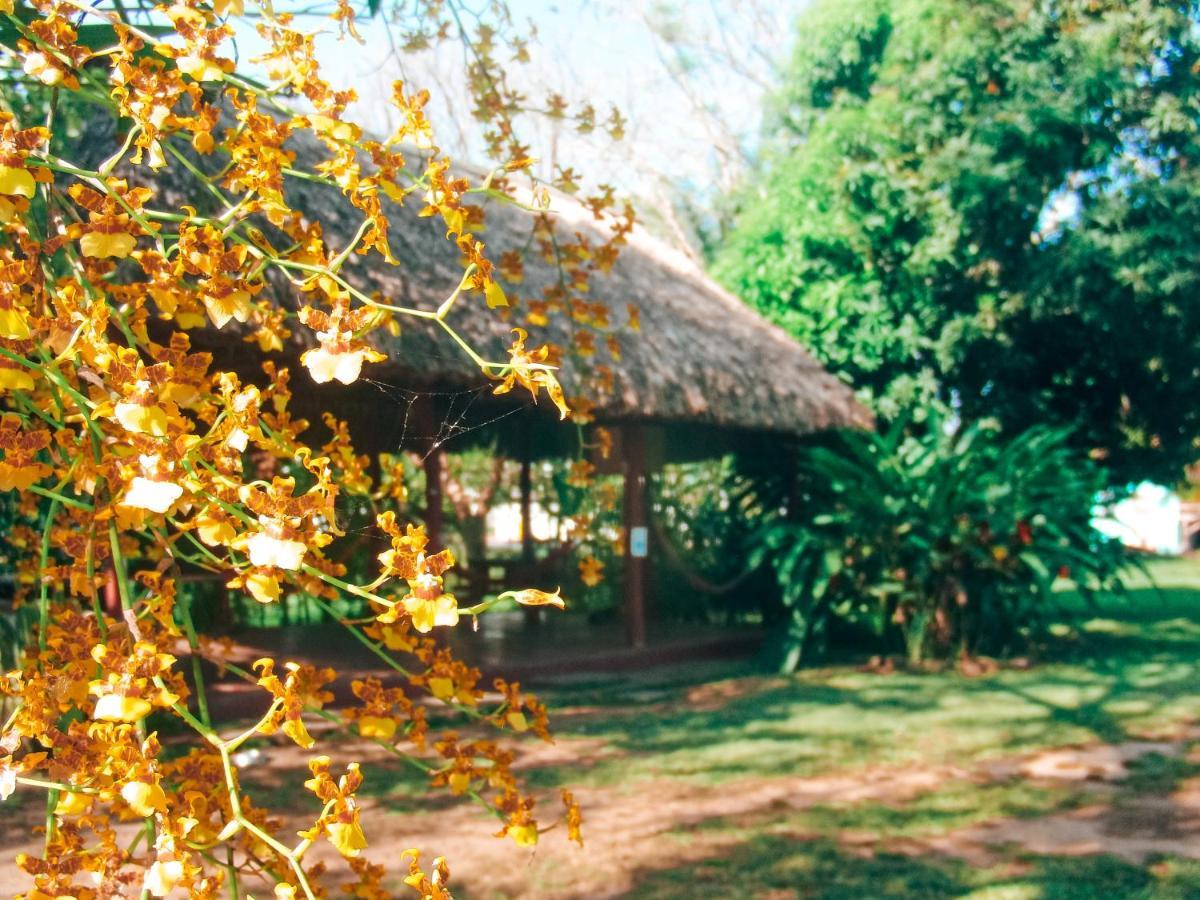 Mana Kai Camping & Cabins 산 이그나시오 외부 사진